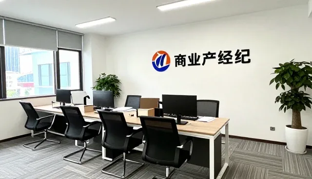 租赁纠纷处理中定制化服务的性能与适用条件分析